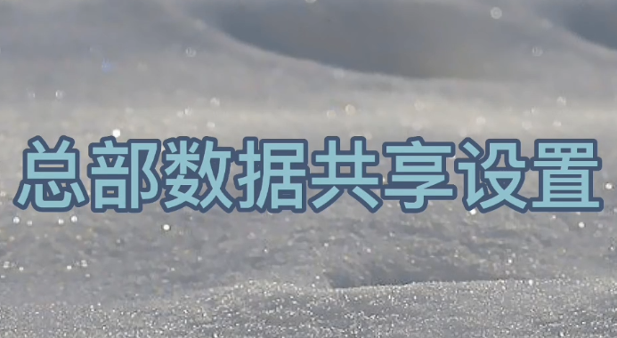 旺点学习进阶：总部数据共享设置