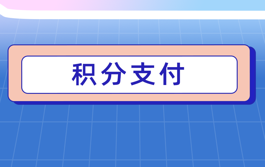 旺点软件 积分支付