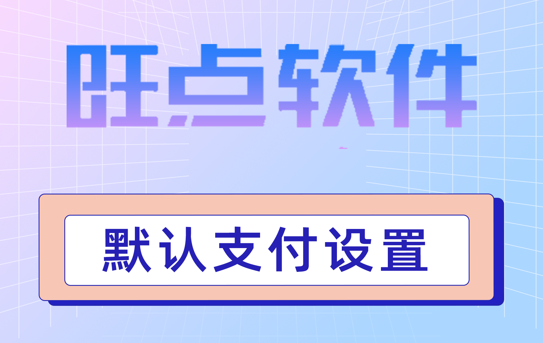 旺点软件 默认支付设置