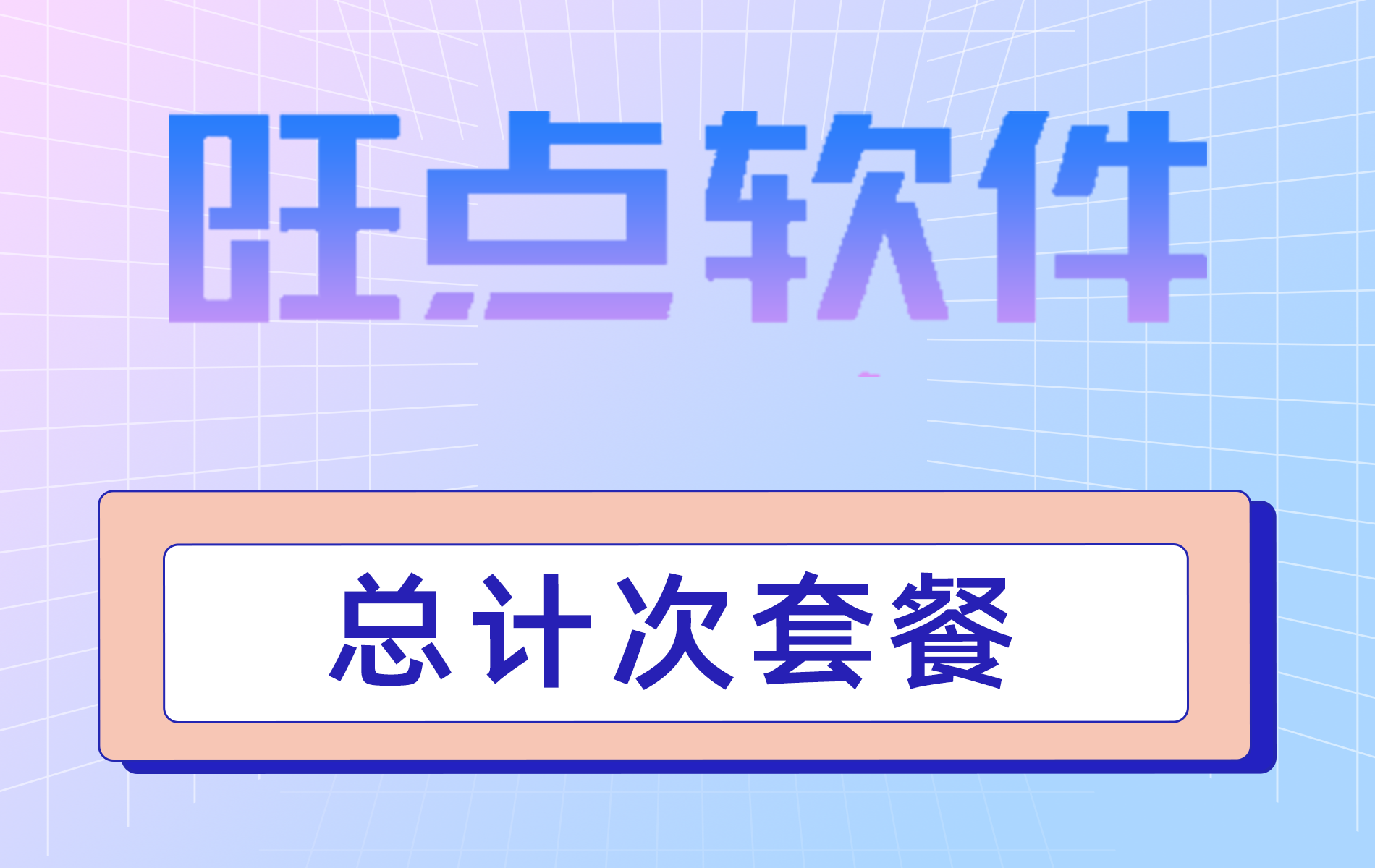 旺点软件 总计次套餐