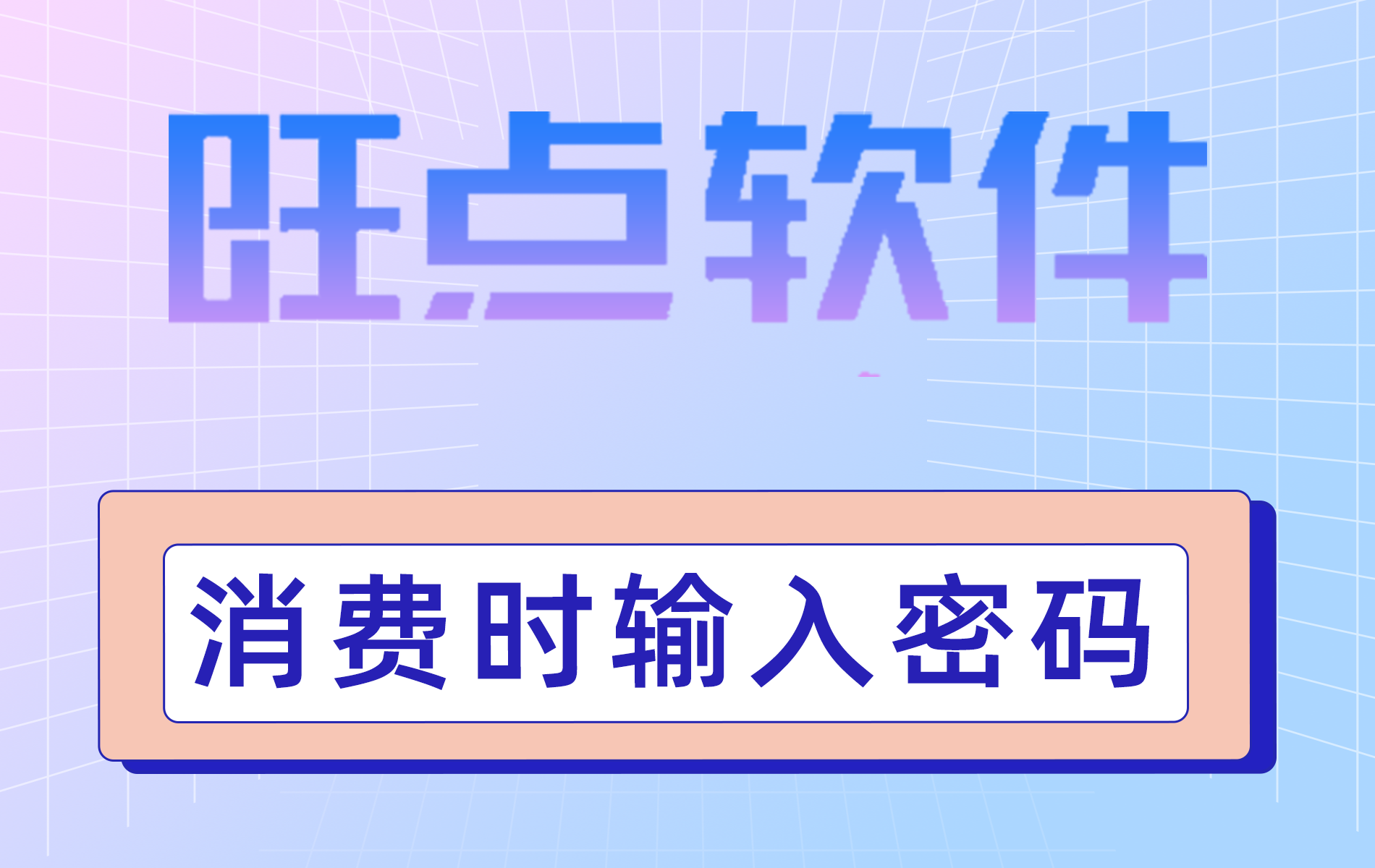 旺点软件 消费验证