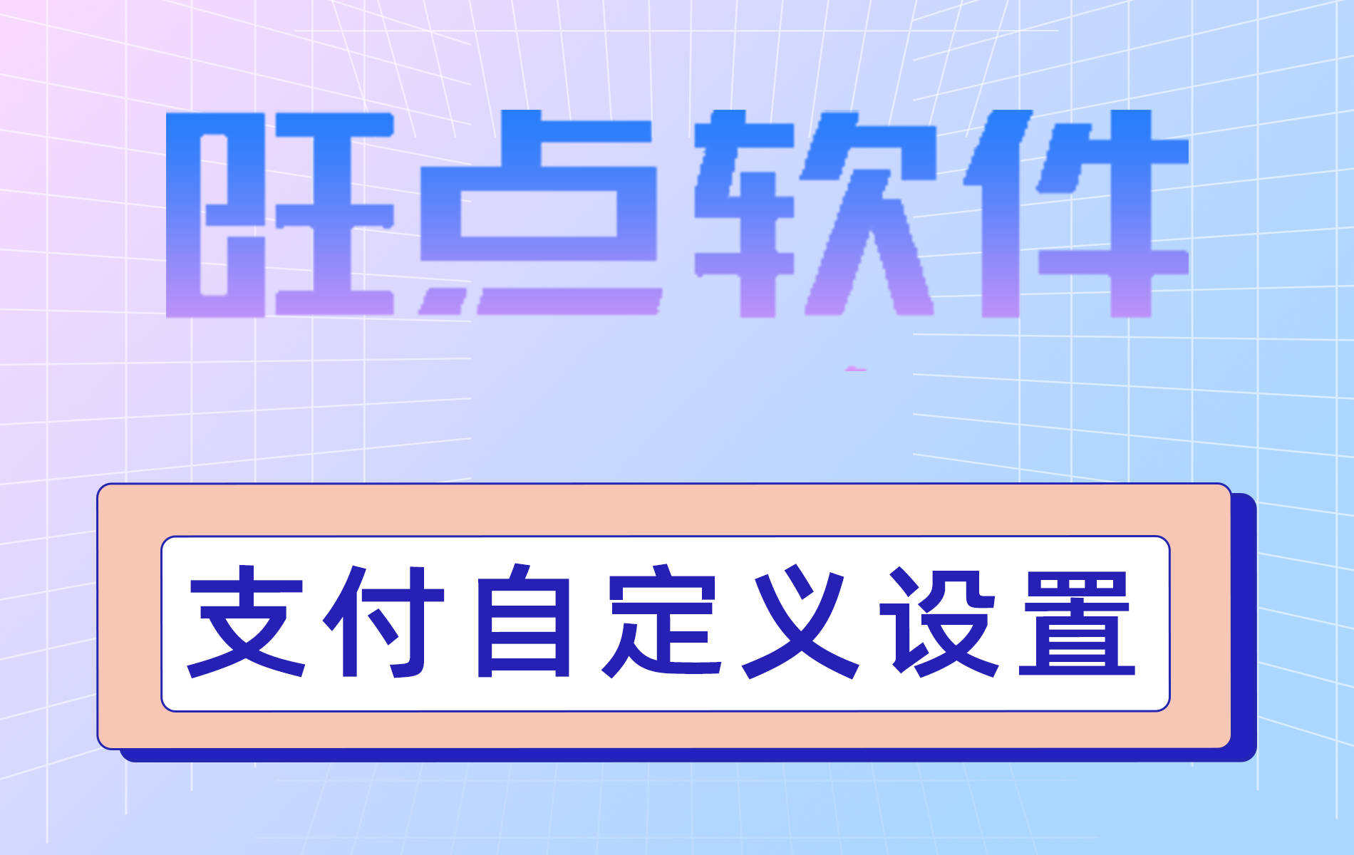 旺点软件 支付自定义设置