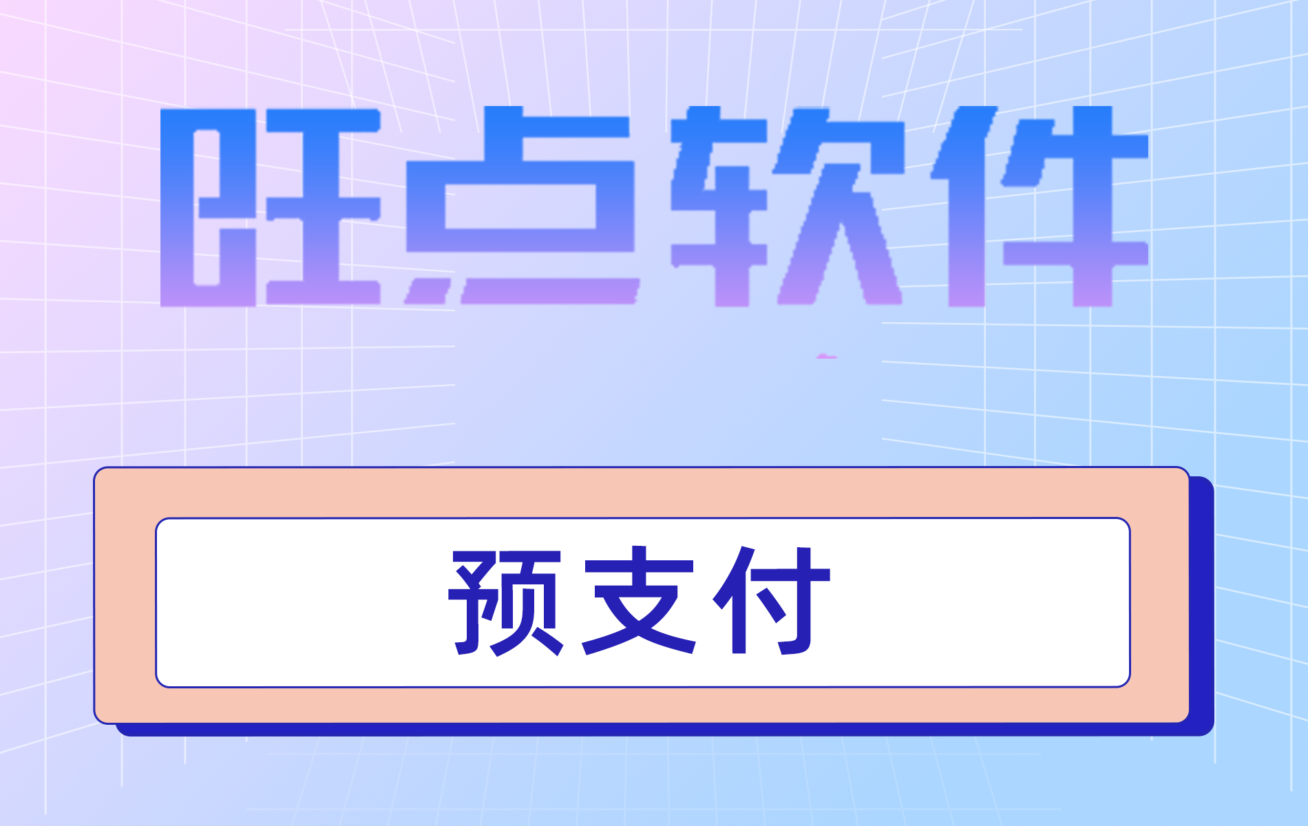旺点软件 预支付（视频）