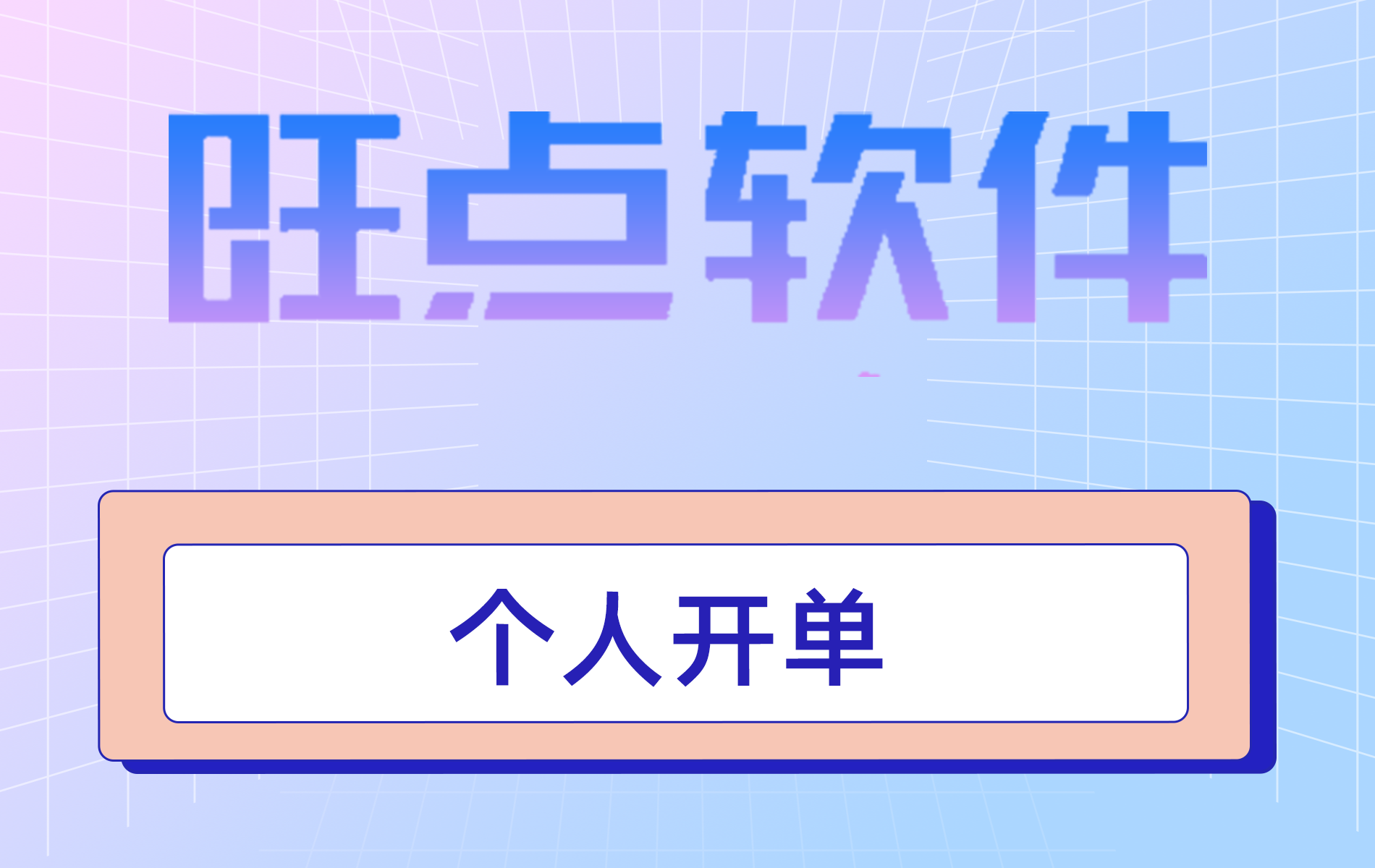 旺点软件 个人开单（视频）