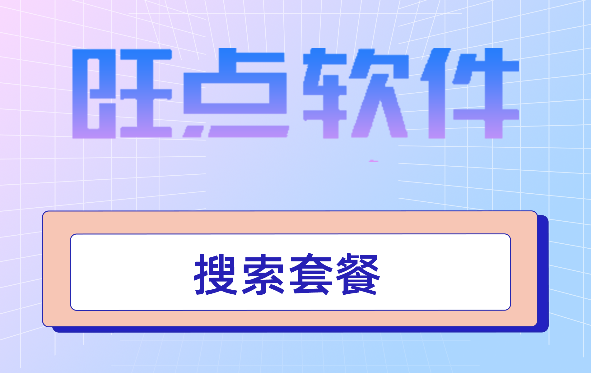 旺点软件 搜索套餐（视频）